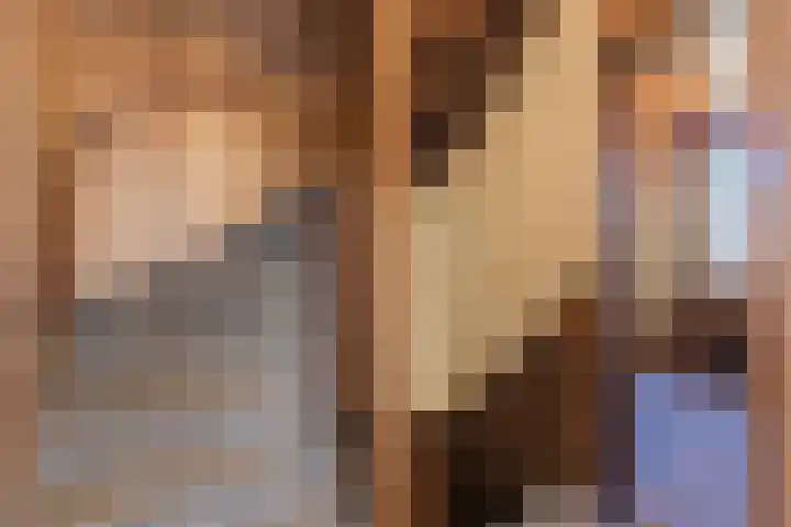 Beringstraat 8 Geldrop thumbnail 17