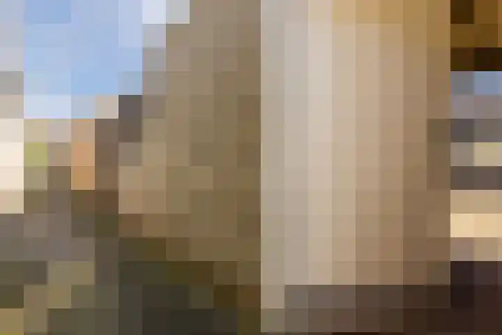 Beringstraat 8 Geldrop thumbnail 27
