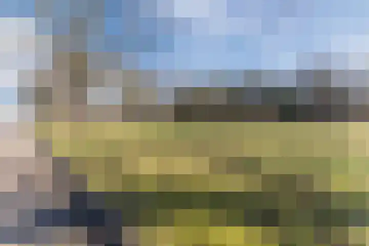 Beringstraat 8 Geldrop thumbnail 29