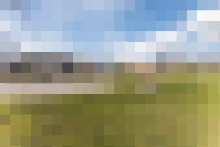 Beringstraat 8 Geldrop thumbnail 30