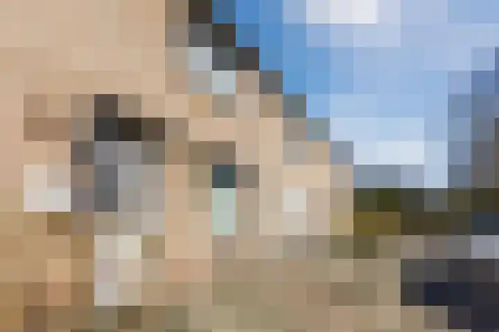 Beringstraat 8 Geldrop thumbnail 4