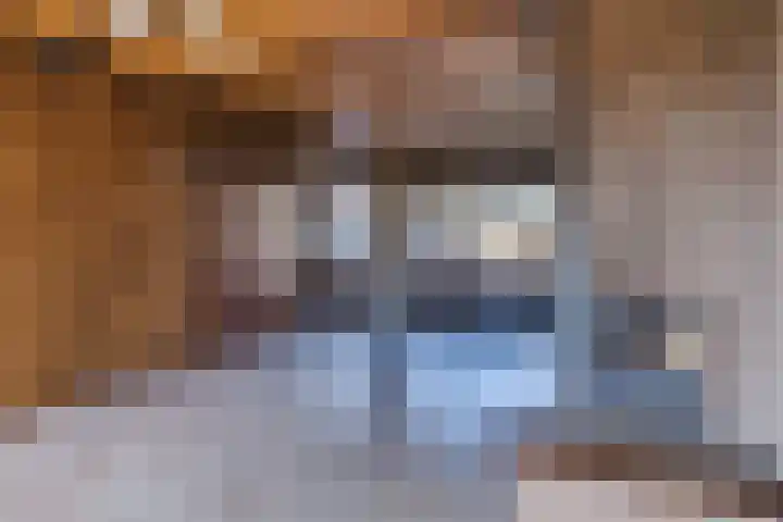 Beringstraat 8 Geldrop thumbnail 7