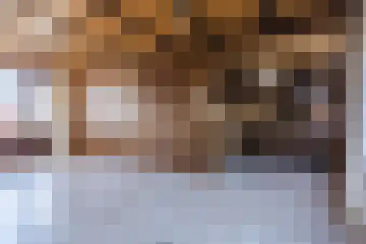 Beringstraat 8 Geldrop thumbnail 9