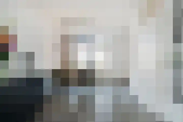 Berk 1 Mierlo thumbnail 11