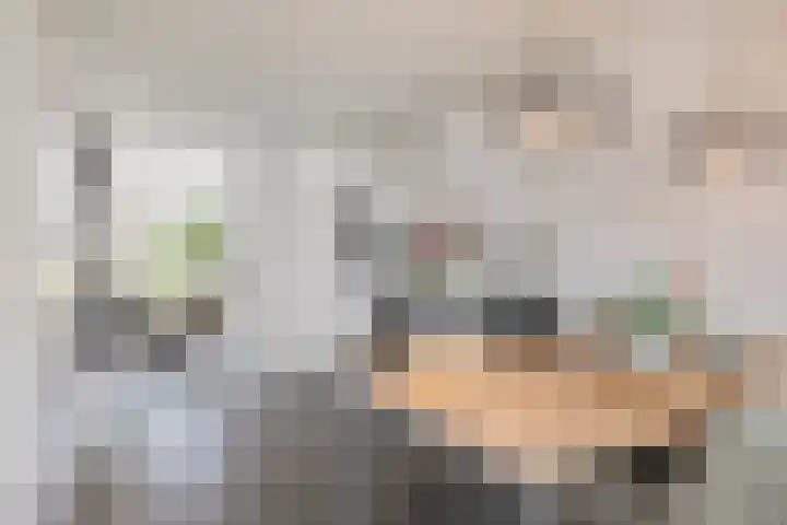 Berk 1 Mierlo thumbnail 13
