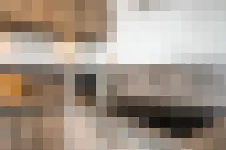 Berk 1 Mierlo thumbnail 15