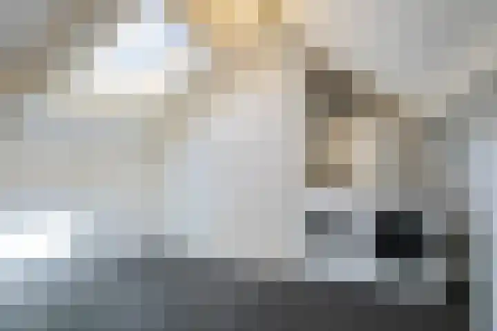 Berk 1 Mierlo thumbnail 25