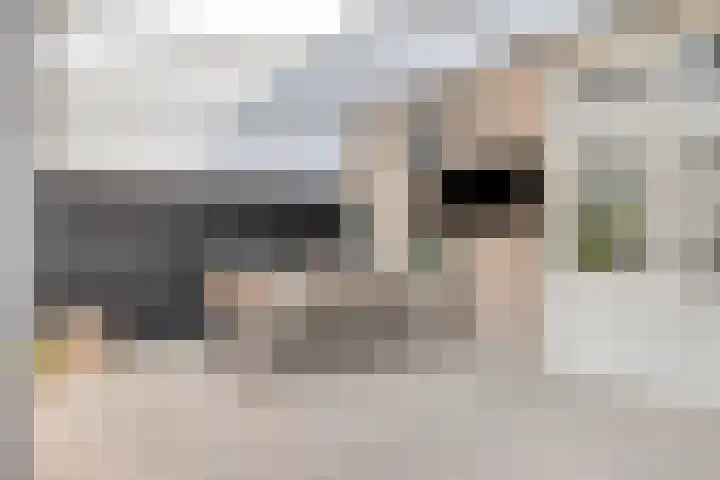 Berk 1 Mierlo thumbnail 28