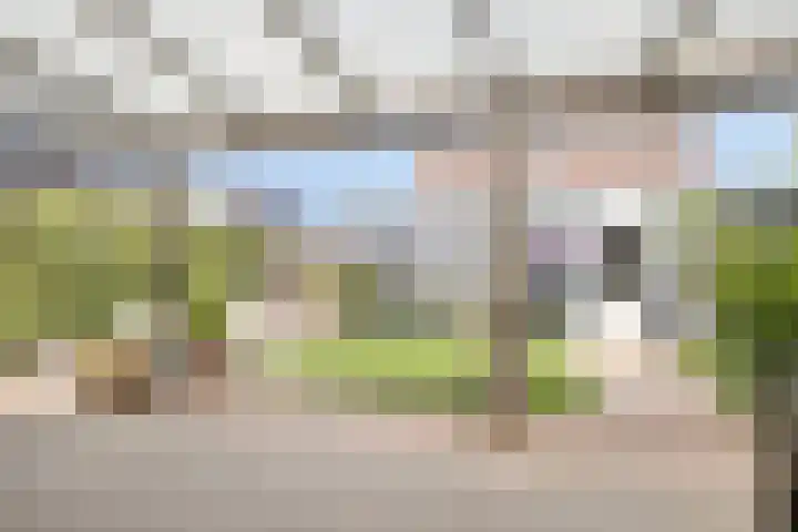 Berk 1 Mierlo thumbnail 29