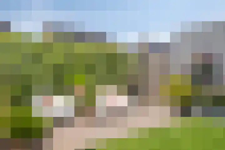 Berk 1 Mierlo thumbnail 31