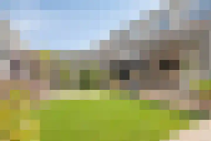 Berk 1 Mierlo thumbnail 32