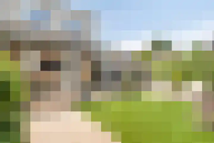 Berk 1 Mierlo thumbnail 34