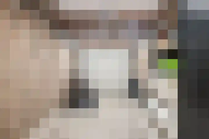 Berk 1 Mierlo thumbnail 35