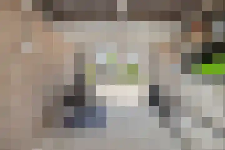Berk 1 Mierlo thumbnail 37