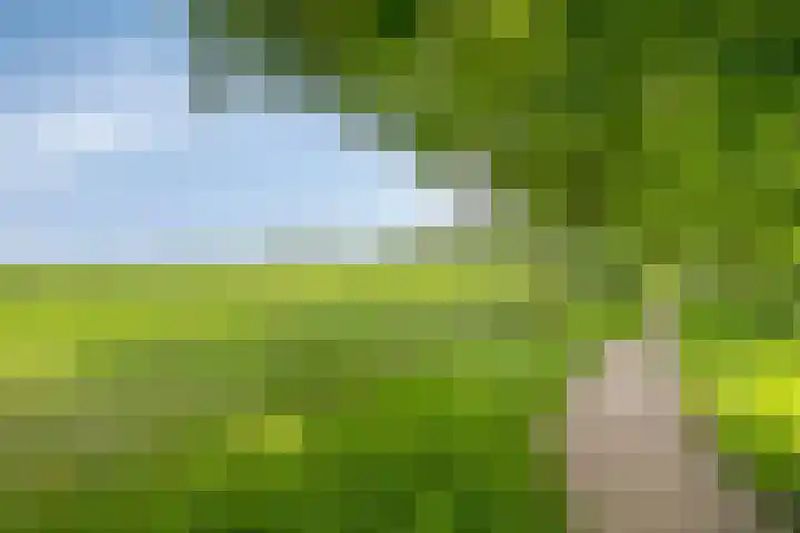 Berk 1 Mierlo thumbnail 42