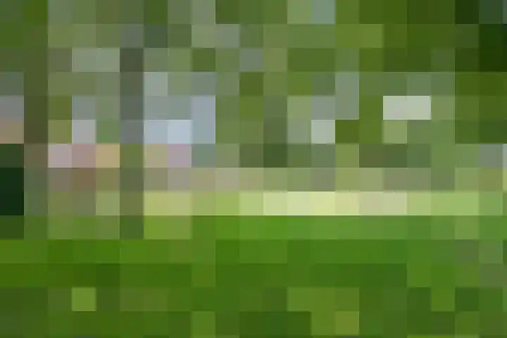 Berk 1 Mierlo thumbnail 43