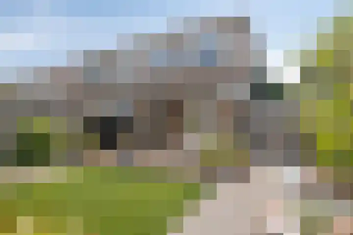 Berk 1 Mierlo thumbnail 6