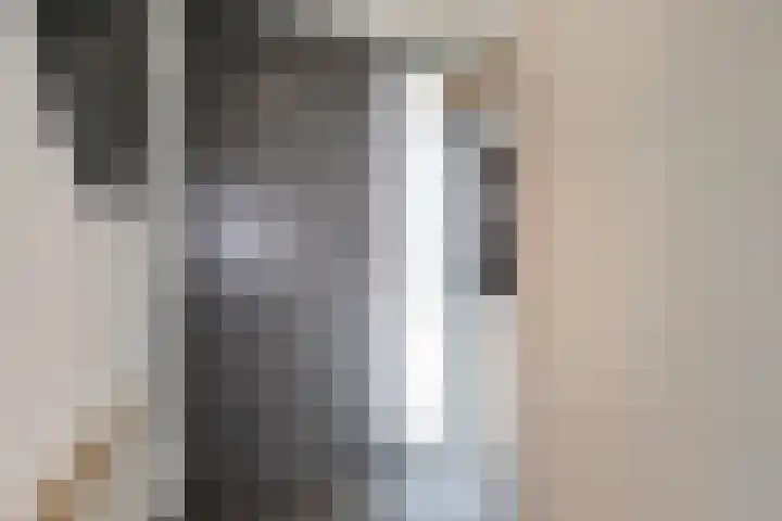 Berk 1 Mierlo thumbnail 7