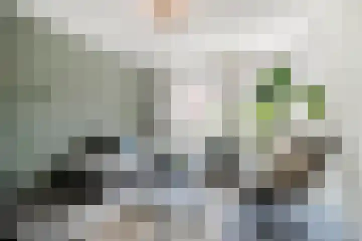 Berk 1 Mierlo thumbnail 9