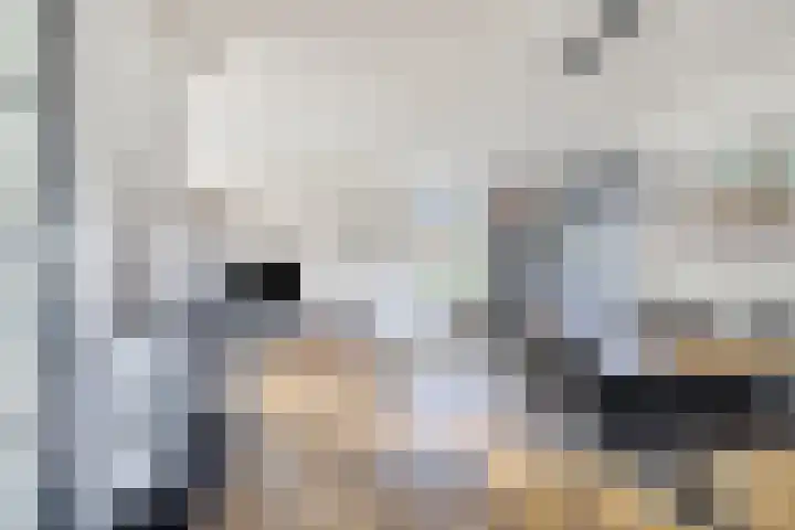 Berk 12 Leek thumbnail 12