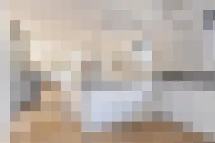 Berk 12 Leek thumbnail 13