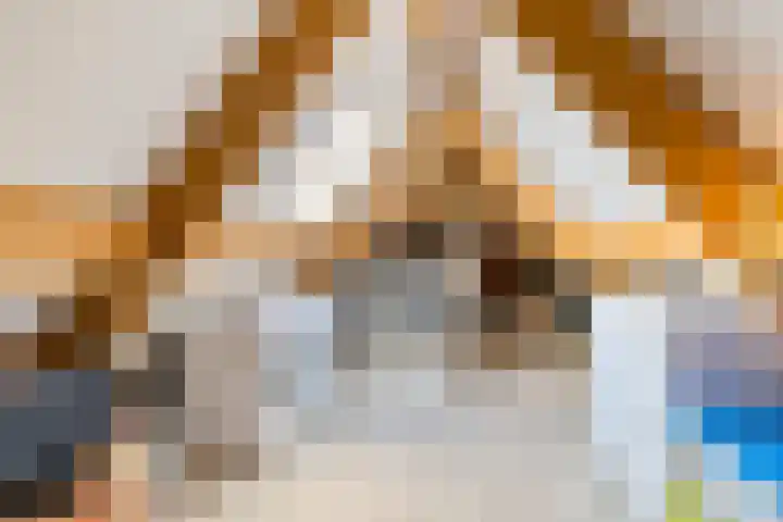 Berk 12 Leek thumbnail 33