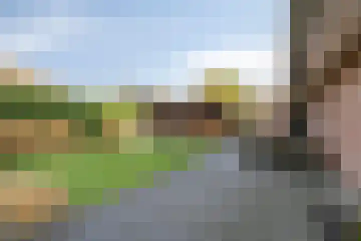 Berk 12 Leek thumbnail 35
