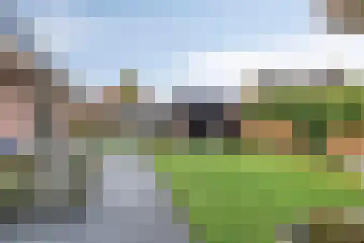 Berk 12 Leek thumbnail 36