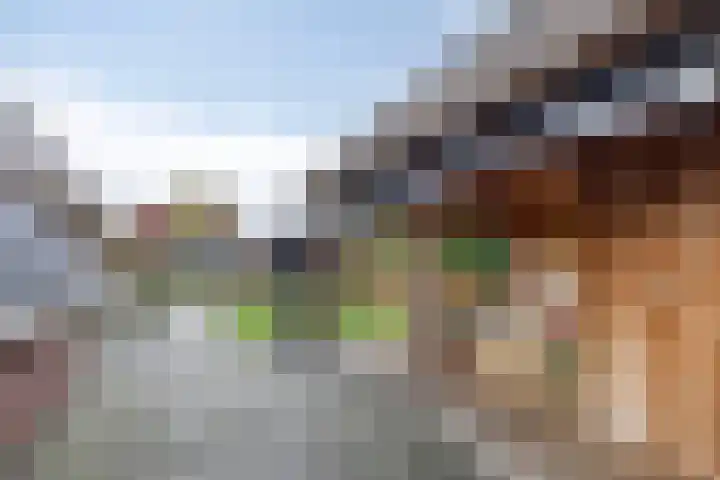 Berk 12 Leek thumbnail 39