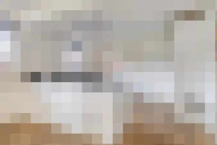 Berk 12 Leek thumbnail 4