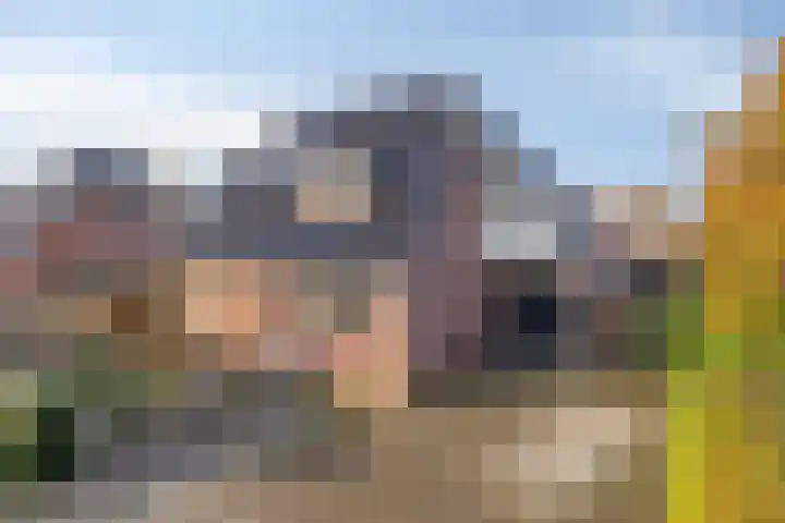 Berk 12 Leek thumbnail 42