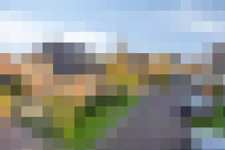 Berk 12 Leek thumbnail 40