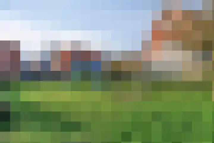 Berk 12 Leek thumbnail 41