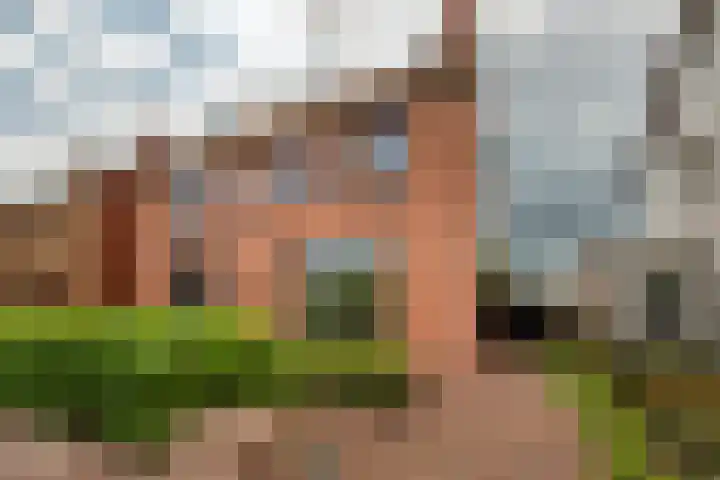 Berk 12 Leek thumbnail 43