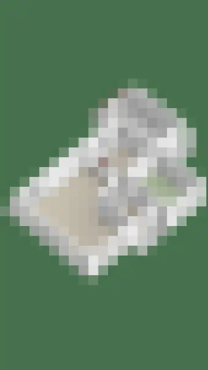 Berk 12 Leek thumbnail 45