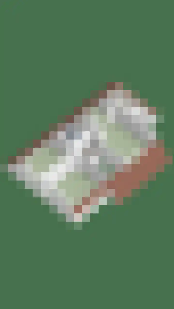 Berk 12 Leek thumbnail 47