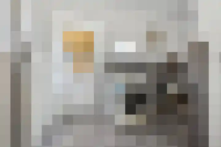 Berk 12 Leek thumbnail 49