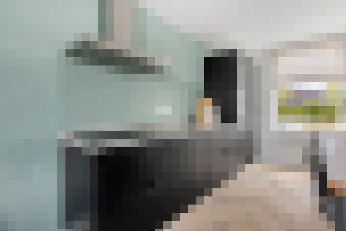 Berk 15 Best thumbnail 17