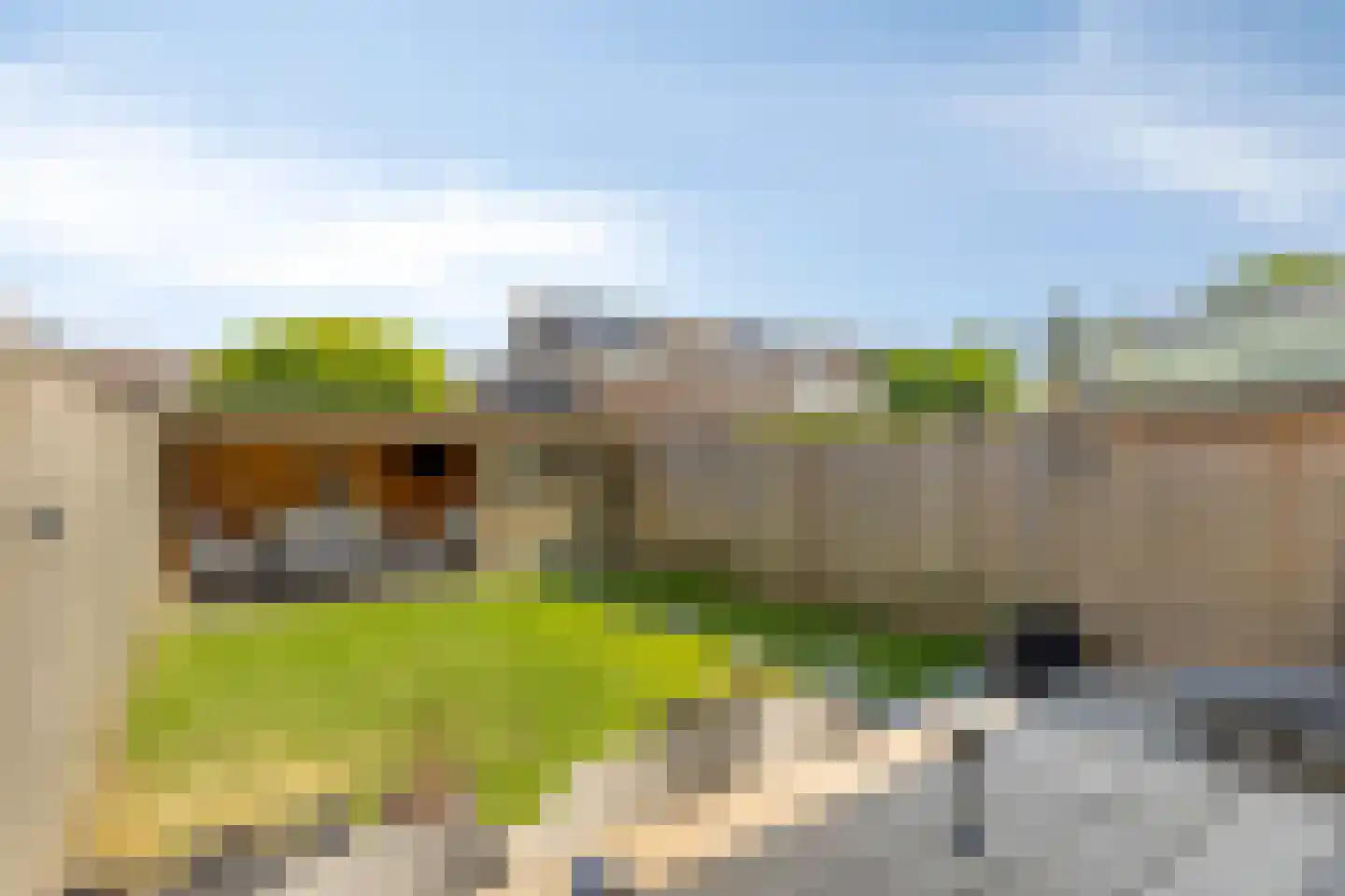 Berk 15 Best thumbnail 32