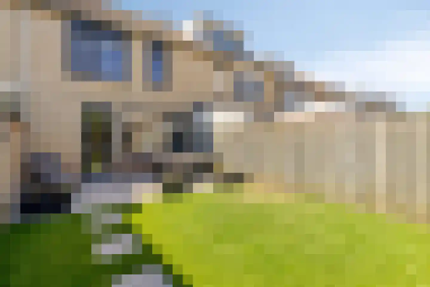 Berk 15 Best thumbnail 35