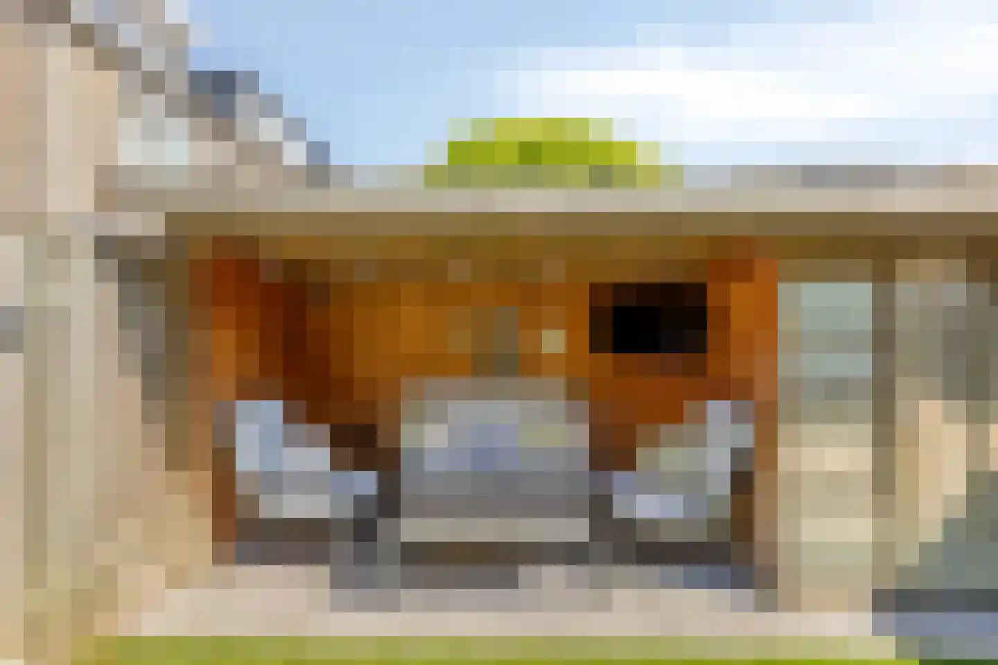 Berk 15 Best thumbnail 36