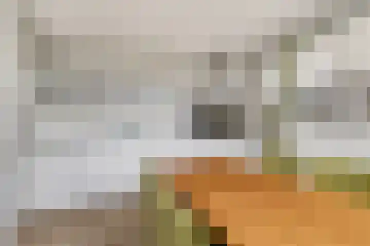 Berk 28 Leek thumbnail 10