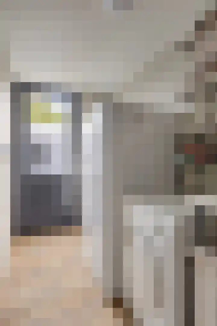 Berk 28 Leek thumbnail 12