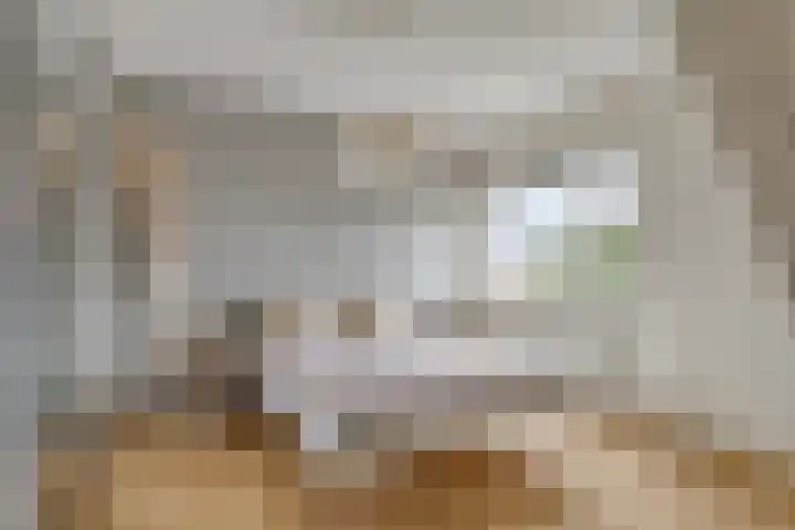 Berk 28 Leek thumbnail 14