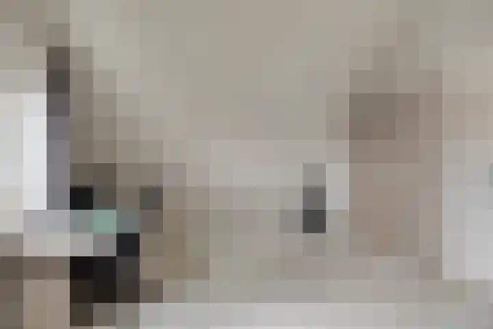 Berk 28 Leek thumbnail 26