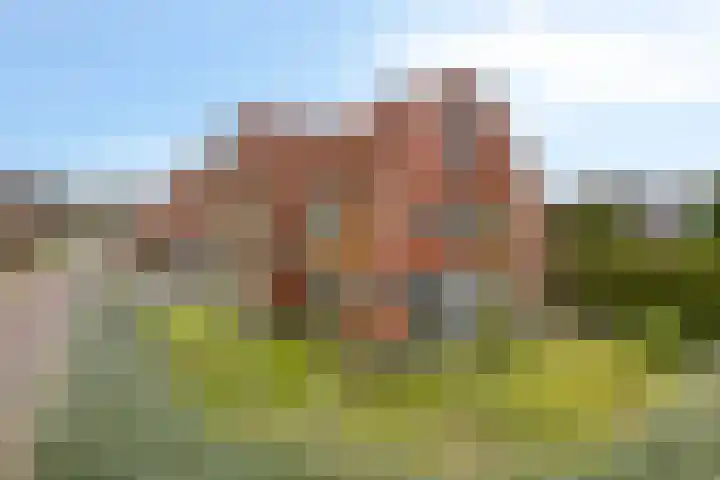 Berk 28 Leek thumbnail 27