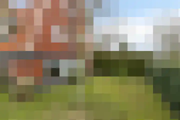 Berk 28 Leek thumbnail 29