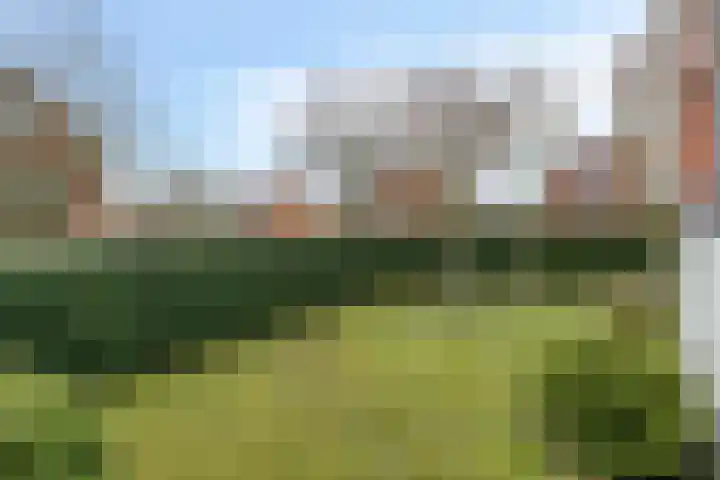 Berk 28 Leek thumbnail 30