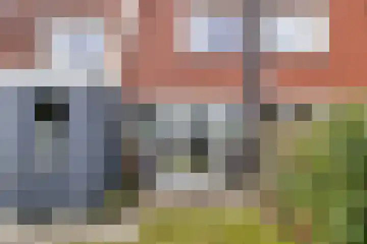 Berk 28 Leek thumbnail 32