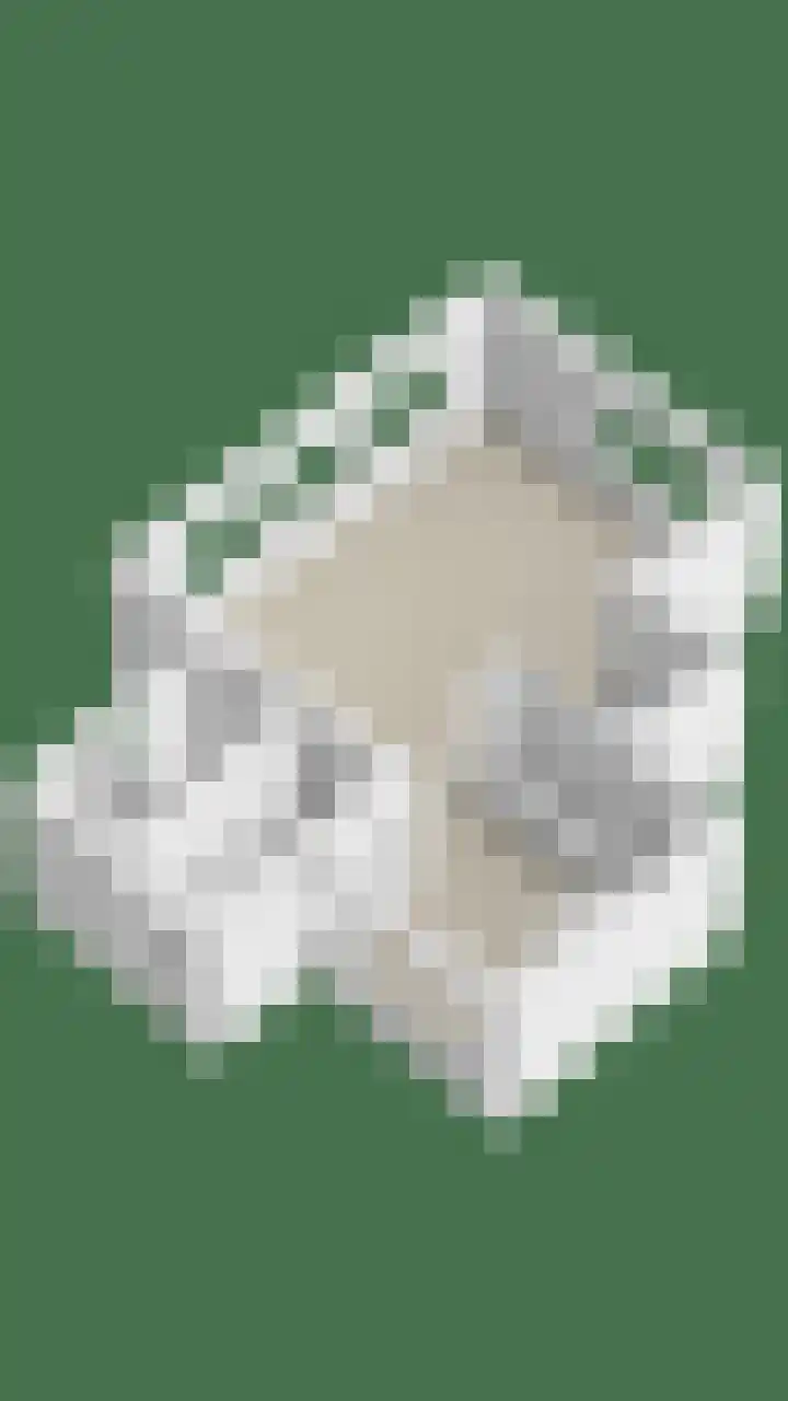 Berk 28 Leek thumbnail 42